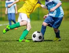 日本女排教,练感叹,面对中国强,JBO竞博官网,JBO竞博官网在线娱乐平台